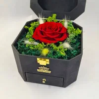باکس گل رز جاودان هشت ضلعی چرمی کادو روز مادر|گل و گیاه طبیعی|تهران, میدان ولیعصر|دیوار