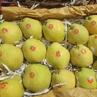 گلابی درگزی