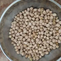 نخود سفید درجه یک