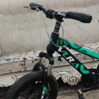 دوچرخه ۱۶حرفه ای|دوچرخه، اسکیت، اسکوتر|دوگنبدان, |دیوار