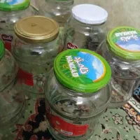 تعدادی شیشه