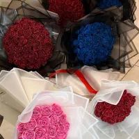 فروش انواع گل رز روبانی