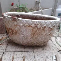 پایه گل و گلدون|گل و گیاه طبیعی|قائن, |دیوار