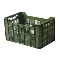 فروش سبد ۲۵ کیلویی