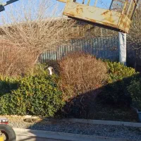 استخدام سرایدار