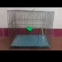 قفس پرنده