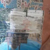 قالی|فرش|خرمشهر, |دیوار