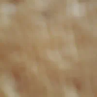 موکت