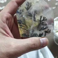 کوارتز شجر قواره برزیلی کلکسیونی|جواهرات|قم, ارم|دیوار