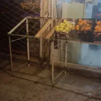 دکورمیز مغازه میوه|فروشگاه و مغازه|تربت جام, میان جام|دیوار