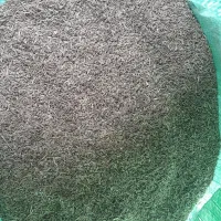 زیره سبز بذری درجه یک|خوردنی و آشامیدنی|دشتابی, |دیوار