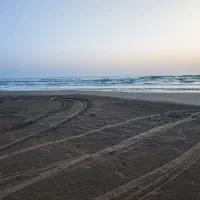 زمین ساحلی برای مشارکت