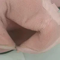 کفش درحدنو|کیف، کفش، کمربند|زنجان, |دیوار