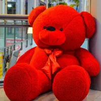 خرس دومتر و نیمی ولنتاین