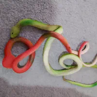 انواع اسباب بازی فقد 35 تومن