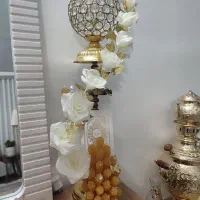 شاخه نبات،نو