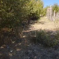 باغچه داخل بافت با مجوزساخت