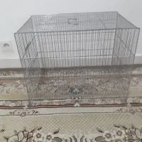 قفس