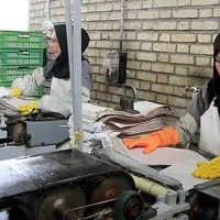 جذب نیرو خانم و اقا با حقوق بالا|استخدام صنعتی، فنی، مهندسی|چناران, |دیوار