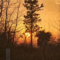 280 متر زمین سند مادر تفکیک شده ساحلی|فروش زمین و ملک کلنگی|چاف و چمخاله, |دیوار