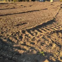 فروش زمین|فروش زمین و ملک کلنگی|مریوان, |دیوار