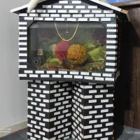 آکواریوم|ماهی|هشتگرد, شهرک اداری|دیوار