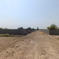 زمین-باغی