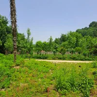 زمین با دنج ترین جای ممکن مسکونی چسبیده به رودخونه|فروش زمین و ملک کلنگی|لاهیجان, آهندان|دیوار