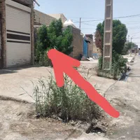 فروش زمین‌خیابان اصلی بعد مدن ۷ به متراژ ۱۴۰ متر|فروش زمین و ملک کلنگی|آبادان, |دیوار