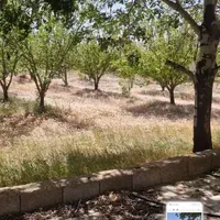 فروش زمین ۱۰۰۰ متری در کودیان ابپرده|فروش زمین و ملک کلنگی|شیراز, کودیان|دیوار