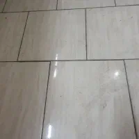 استخدام  نیروی کار