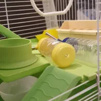 قفس همستر و پرنده|لوازم جانبی حیوانات|تهران, گیشا|دیوار