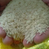 برنج شمیم عالی