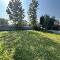 ۲۵۰ متر زمین شهرکی/ تاپ لوکیشن/ کوهپایه جنگلی|فروش زمین و ملک کلنگی|چمستان, |دیوار