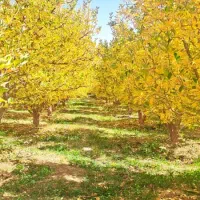 معاوضه آپارتمان با ملک بالاتر