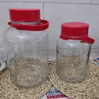شیشه ها ترک آن مارک پاشا باغچه