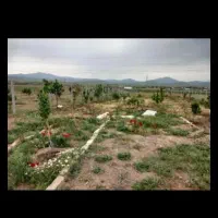 زمین باغی و باغ ویلا فروشی باورس|فروش زمین و ملک کلنگی|محمدیه-قزوین, |دیوار