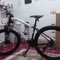 فروش دوچرخه تنه ۲۹