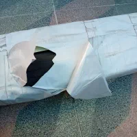 گم شده پیدا شده