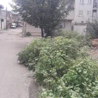 فروش زمین ۱۰۸ متری دوبر در حمیدیان موسی پور|فروش زمین و ملک کلنگی|رشت, پاره بیجار|دیوار