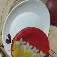 تمیزکار ظرفشور خانم پاره وقت منزل