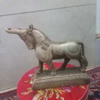 درخت بونسای|گل و گیاه طبیعی|شیراز, شاهچراغ|دیوار