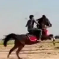 نریان سواری دار بجنگ