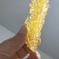 نبات شاخه کارتن ده کیلویی صادراتی