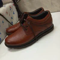 کفش چرمی نوعه نو نصف قیمت|کیف، کفش، کمربند|بیرجند, |دیوار