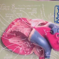 کتاب کنکوری تجربی|کتاب و مجله آموزشی|پلدشت, |دیوار