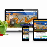 طراحی سایت حرفه ای با فروش و سئو تضمینی در شیراز