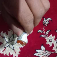 باباقوری کهنه|بدلیجات|بیرجند, |دیوار