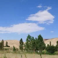 زمین-باغی