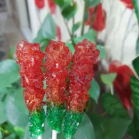 قند ونبات رنگی و گیاهی یلدایی|خوردنی و آشامیدنی|کرج, جهانشهر|دیوار